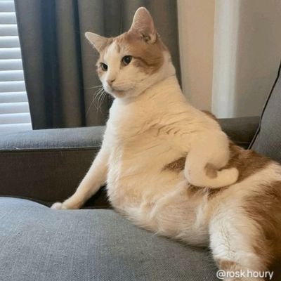 Te7Azahares's profile picture. 