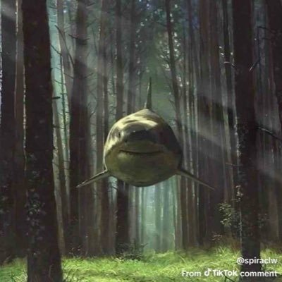 notinteres2o's profile picture. dtx