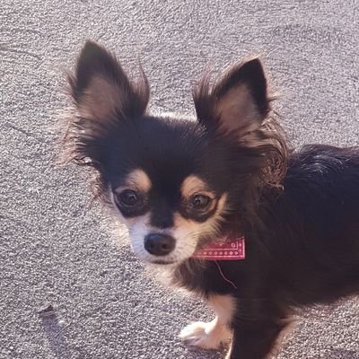 d_liberta76's profile picture. Liberta® — Créée dans le réel, forgée dans l’épreuve.
Culture, message, impact.
Le style qui parle vrai