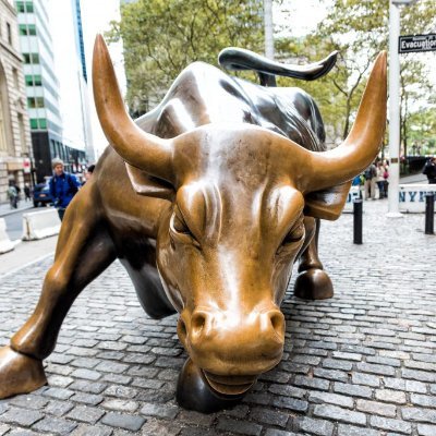 Mozart112003001's profile picture. Investing in companies that grow their dividend payouts over time.