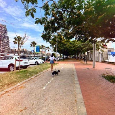 mc19995L's profile picture. 