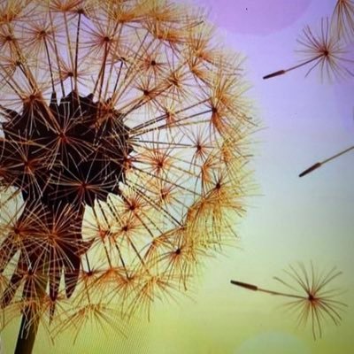 ElysiumFields10's profile picture. #RenaissanceWoman ⚕️Theatres A&E, ER Palliative Care, Sharing Stuff, And you? 📸 loaned, No DM