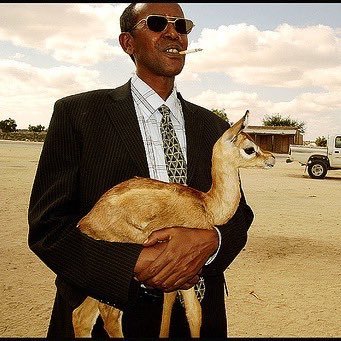 arijodye's profile picture. 