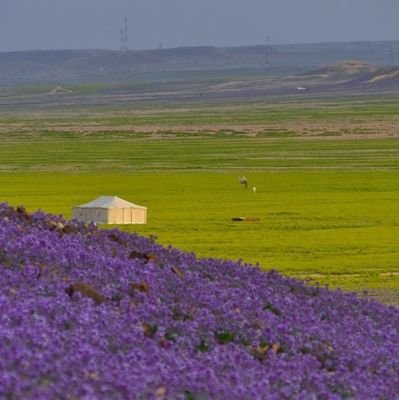 assas753u's profile picture. تابعني و اتابعك