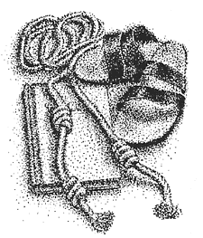 capucins's profile picture. Les capucins du Québec