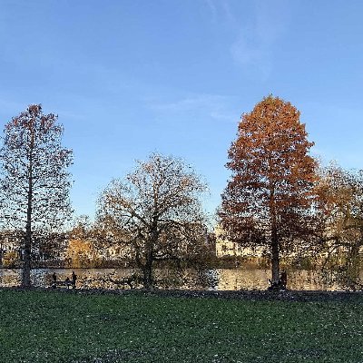 peac4love's profile picture. ✨☮peace☮✨♥love♥✨🌈📷🚲📚🛠🎨 Arts & Architecture🏦 ✨🌻🍁🌷🌸🌹Flowers✨🚫 No Weapons ✨🚫 No Porn ✨ 🚫No Racism ✨