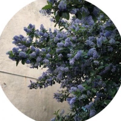 Afnan_s24's profile picture. 