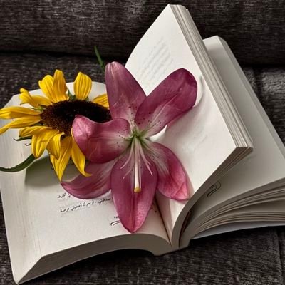 meaaaise's profile picture. 