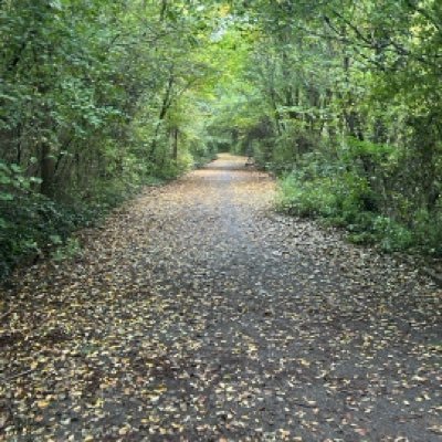 AleSageras's profile picture. UEFA PRO Licence. Coach @beroe1916 ex @river @realmadrid @rayovallecano