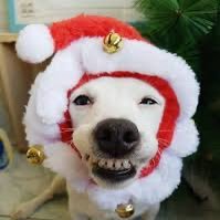 jazzyja06398965's profile picture. I just be lurking fr. my feed is stuck on love island atm. forgive me when I fail to cleanse.