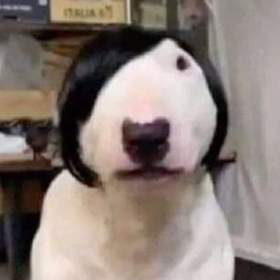 itsgabies_'s profile picture. • you're on your own, kid • • fonoaudióloga • • sp, 22 •