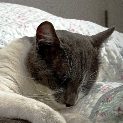 MisterHappyV's profile picture. 🧸★ 𝐃𝐦𝐜 𝐲 𝟎𝟎 ★🛸 𝐗𝐗𝐈𝐈 👻 𝐒𝐡𝐢𝐭𝐩𝐨𝐬𝐭 𝐲 𝐂𝐥𝐢𝐩𝐬 🃏 ¸.·✩·.¸¸.·¯⍣✩ 🅁🅄🄼🄱🄾 🄰🄻 🄿🅁🄸🄼🄴 ✩⍣¯·.¸¸.·✩·.¸