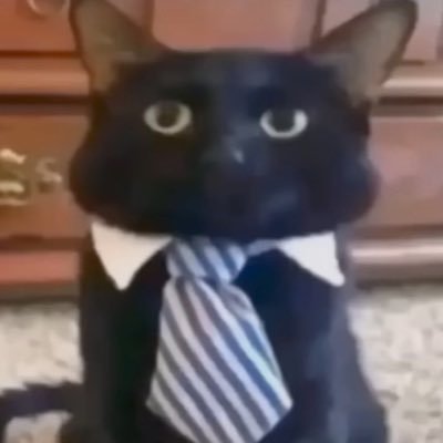 __chizzy_g's profile picture. just tryna make friends | hooper at heart 🏀