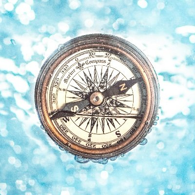 aspshippingman's profile picture. For maritime investors and shipowners