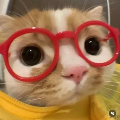 ashittaaaa's profile picture. designer, artist, photographer, writer