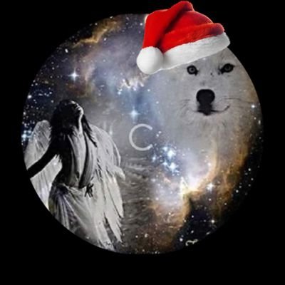 Lynshewhitewolf's profile picture. We The People for Humanity First! Protect the children! Be kind!Seeking the truth of life, liberty & and pursuit of happiness as a woman 🚫NO PORN!🚫SOLICITING!