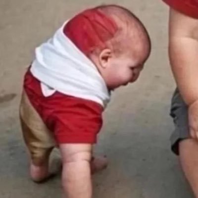 bucetussaurus's profile picture. 