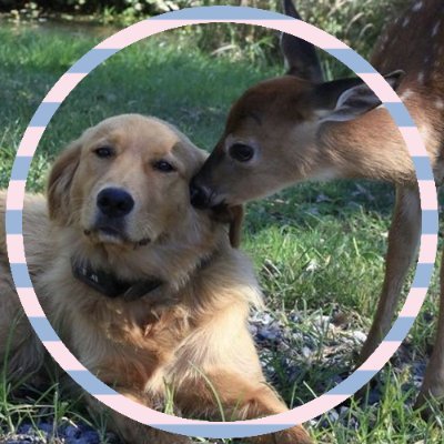 ddongkaez's profile picture. #동깨즈