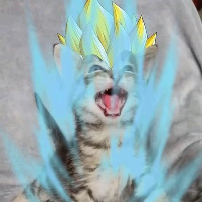 Kavon7937's profile picture. 