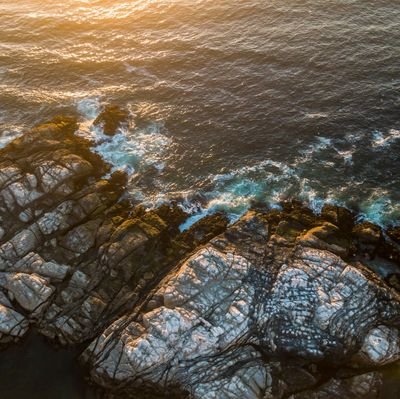 m49194622's profile picture. 