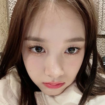 oikawatozaki's profile picture. 박수영 love bot