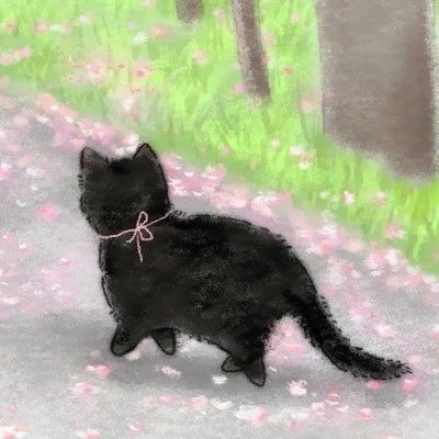 alliemae05's profile picture. 