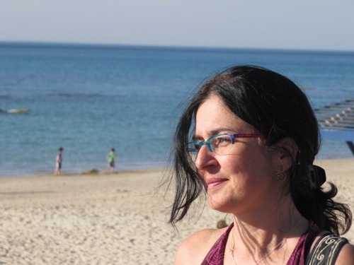 TalGaash's profile picture. 