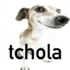 pinori5974824's profile picture. 