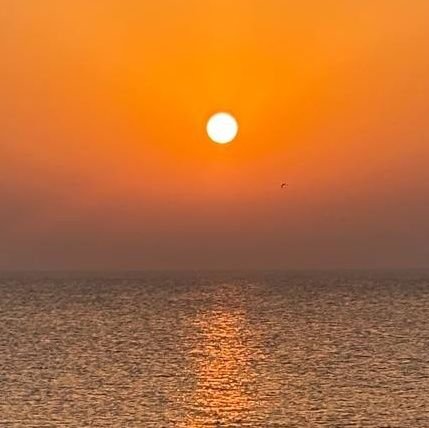 rezaie_md's profile picture. دیوانه ای که عاشق زنجیر شد...