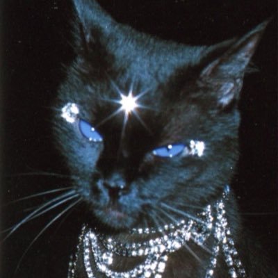 _nelachan's profile picture. No hago hechizos… dejo que la energía decida por mí. Si algo te atrae, no es casualidad: es resonancia.