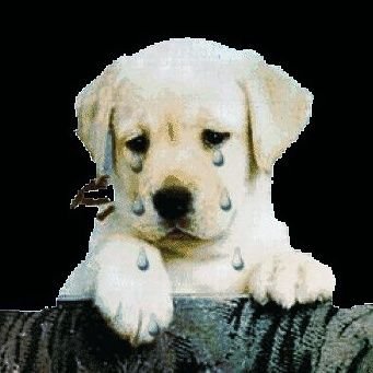 sprayoverdose's profile picture. alive and breathing