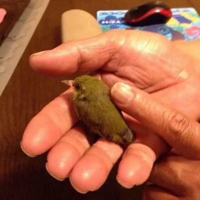 Wappy_x's profile picture. You're going to like the way you look. I guarantee it