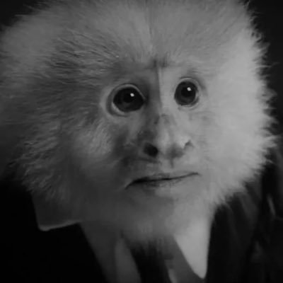 fab_M69's profile picture. Cinéphile. Admirateur de Lynch, Burton, Del Toro, de Fantastique et d’horreur 🧛🏻🧟‍♂️💀🦇🐺 et papa de Corgi 🦊 Twin Peaks / X Files Insta / TikTok : fab_m69