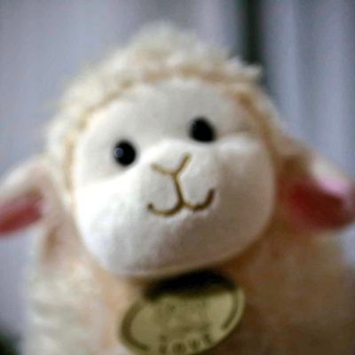 ageraonthehills's profile picture. rozkminarium - czytasz na własną odpowiedzialność | marzy mi się zwierzogród 🦥 | aktywność fizyczna |  muzyka, seriale & filmy |  żal boli bardziej niż porażka