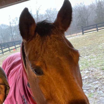 JljHokie's profile picture. For am I now seeking the approval of man, or of God? Or am I trying to please man? If I were still trying to please man, I would not be a servant of Christ.