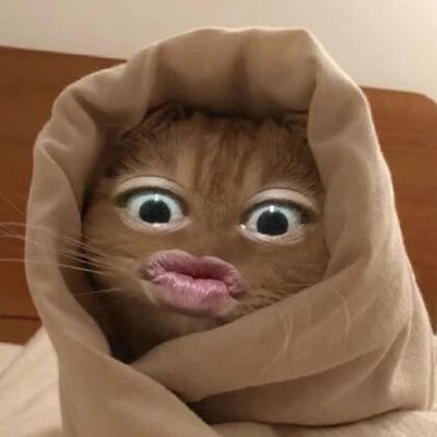 roma_gandum's profile picture. Plat KB /
cuman cowo pendek dan bantet/ new acc/