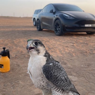 ltsjeje's profile picture. from his rib an angel born as eve | anime & gaming | 26 @PlayValorant #selflove 🩷✨🌷⠀⠀⠀⠀ ⠀⠀⠀⠀ ⠀⠀⠀⠀ ⠀⠀⠀⠀ ⠀⠀⠀⠀ ⠀🇦🇪⠀⠀⠀⠀⠀⠀⠀⠀⠀⠀