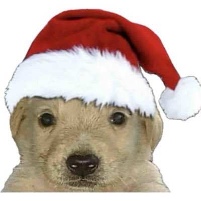 dopa_amapola's profile picture. 🙂