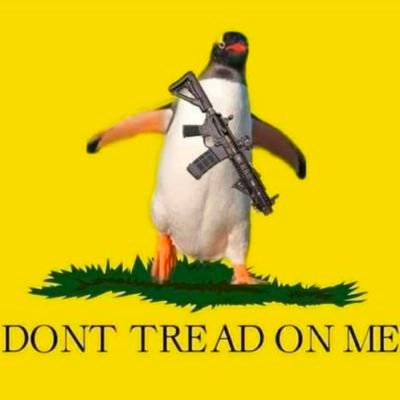 JohnRuth_WV's profile picture. Your favorite guy that refines coal into EV fuel Pro-2A and Eggnog. Biscuits and Gravy enjoyer.