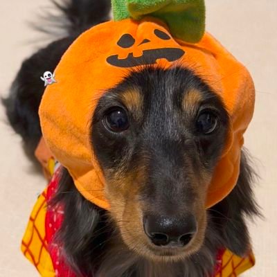 srch_gf1's profile picture. only Freen ❤️‍🩹