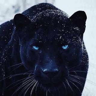 BodyofMuscle's profile picture. 