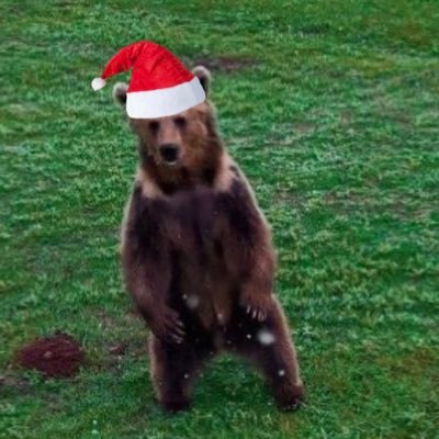 teddygarip's profile picture. Qui Audet Vincit