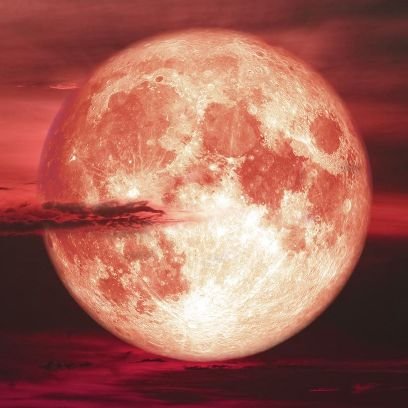 MikkelSutton's profile picture. #moon