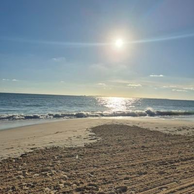 fr_nk_lyn's profile picture. 🌐🌬