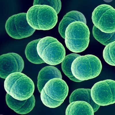 Farr426's profile picture. l speak football only⚽️..RealMadrid &France