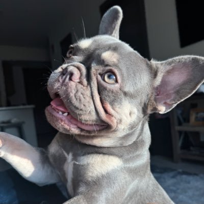 nolensan's profile picture. ✝️ 🇺🇸 Talent Scout 💖🚲👩🏼‍🎨 🗳👩‍⚖️❤️🐶 🐾, Community Advocate, Recruitment, Life Coach, 🕊💐🎶🏈⚾️⚽️♻️💃Humanitarian ☮️✨✌🏼