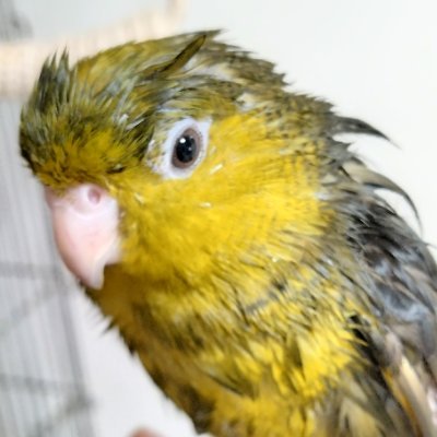 Ao_20251127's profile picture. 