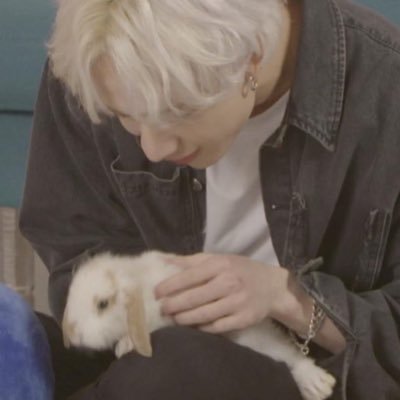 Miroh20190324's profile picture. @txt_sofia   i love bunnies 🐇 if i see anything on my timeline bunny related i will cry and like and retweet. 🥹🐰