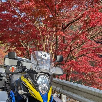 kiironobike's profile picture. Vストローム650XTに乗ってるよ！
全国津々浦々にも出没するよ！

4輪は33スイスポ乗ってるよ。