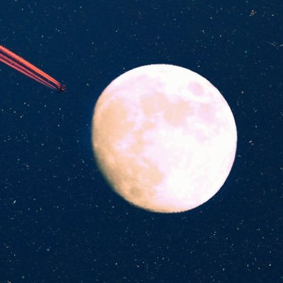 Robrtxx1's profile picture. 